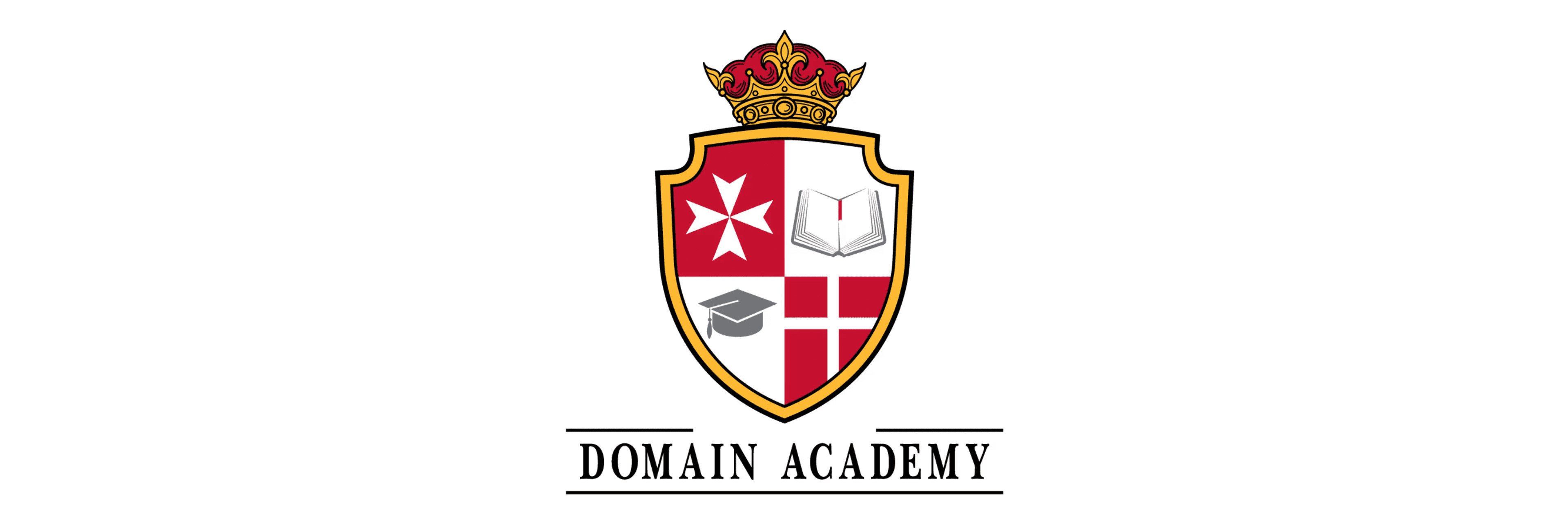 Domain Academy logo